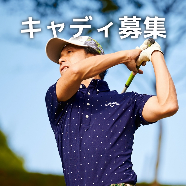 キャディ募集